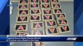 Hurricane Debby washes blocks of cocaine onto Florida beach