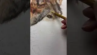 Coloured Pencil Technique for Realistic Drawings