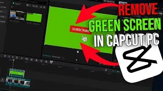 How to Remove Green Screen on Capcut PC (2024)