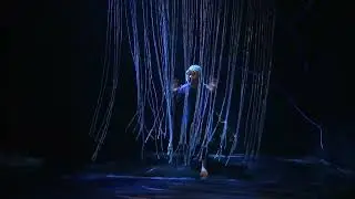 The Great Migratory Dance Trailer