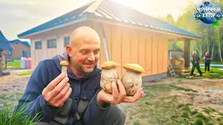 Жизнь идёт своим чередом : свинка в лесу делает гнездо, кормимся грибами и рыбой, гараж строится.