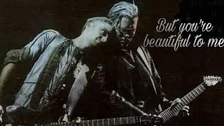 【Paulchard】But you're beautiful to me（Richard Kruspe x Paul Landers）