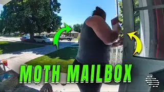 Moths Swarm Out of Opened Mailbox (Ring Camera Footage)