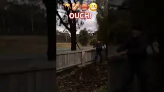 Poor Kangaroo🤣🥜🦘 #fyp #australia #Kangaroo #deez_nuts_joke #viral #shorts #animals #wildlife #funny
