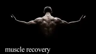 muscle recovery (morphic field)