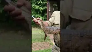 Три Странные Вещи Найденные В Бассейне 