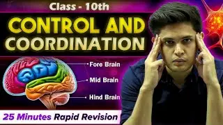 Control and Coordination in 25 Minutes🔥| Class 10th | Rapid Revision | Prashant Kirad