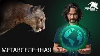 Безопасный Заработок онлайн Мета Вселенная Meta Force