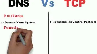 DNS vs. TCP: Understanding the Key Differences and Functions