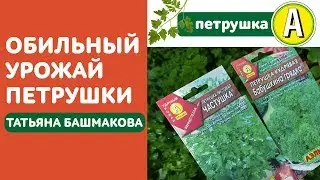 ОБИЛЬНЫЙ УРОЖАЙ ПЕТРУШКИ в 2021? Огород Татьяны Башмаковой