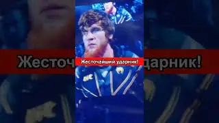 Джо Роган про Шару Буллета и драку в ТЦ #shorts #шарабуллет #ufc294 #исламмахачев #хамзатчимаев