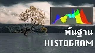 Camera basic : พื้นฐาน Histogram