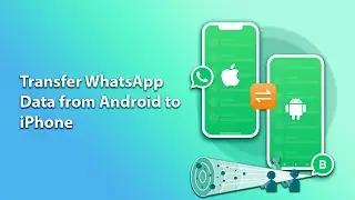 How to Transfer WhatsApp Data Without Losing Anything