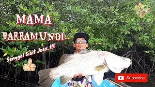 MAMA BARRAMUNDI ||Senggol Sisit Joss..!!!