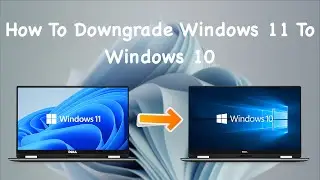 How To Downgrade Windows 11 To Windows 10