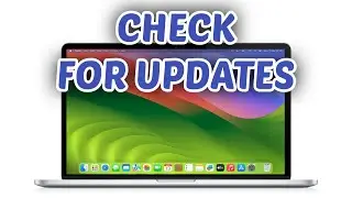 How to Check for App Update on Mac - Full Guide