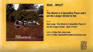 The World is A Beautiful Place - Wait... What?
