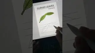 Easy Curled leaf drawing tutorial step-by-step #drawingtutorial #shorts #sketch