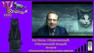 Кот Баюн. Образованный. Обаятельный. Злодей. Из курса «Психология героев русских сказок»