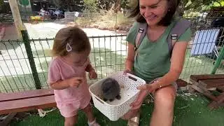 Petting Zoo | Kibbutz Gvaram (06.07.24)