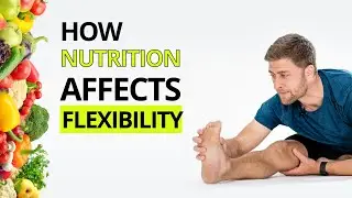 Food & Flexibility – The Best Nutrition for Stretching