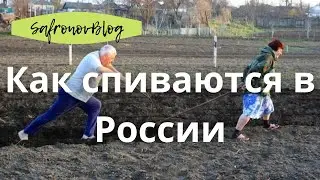 Как спивается российский мужчина. Причины алкоголизации