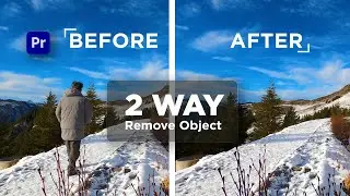 remove object in premiere pro basic tutorial