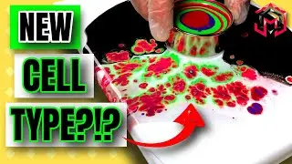 Open Cup Acrylic Pour with CELL ACTIVATOR ONLY | MUST SEE!!