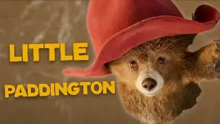 Paddington | Young Paddington Is Rescued | Amazing Adventures