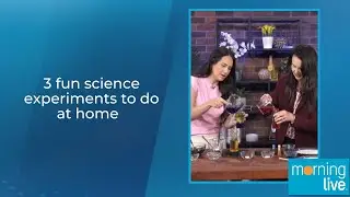 3 fun science experiments to do at home