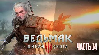 ПРОХОЖДЕНИЕ ВЕДЬМАК 3 от нуба ➤ Часть 14