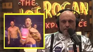 Joe Rogan thought I beat my son!