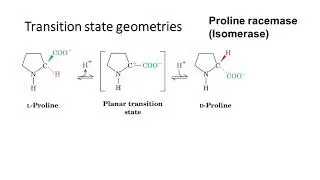 Topic 7.8 - Predicting transition state geometry