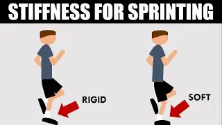 Stiffness for Sprinting | Training for Speed Development