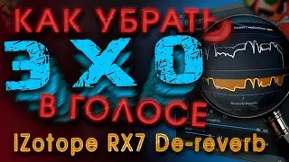 Обзор iZotope RX7 De reverb или КАК убрать ЭХО в голосе в FL studio 20