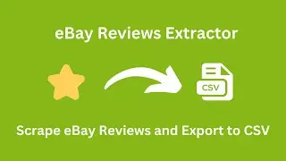 How to scrape and export eBay reviews and export to CSV 2024