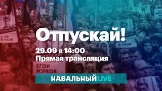 Митинг в поддержку жертв «московского дела», «дела ФБК» и всех политзаключенных. Прямой эфир