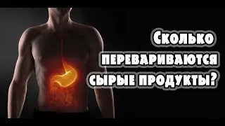 Сколько перевариваются сырые растительные продукты, совместимость продуктов для веганов сыроедов