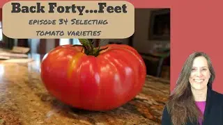 Selecting tomato varieties to grow E34S1