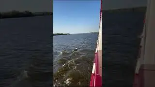 Душа поёт, мозг отдыхает...