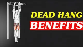 12 reasons to start  Doing Dead Hangs Every day || Dead hang benefits ||