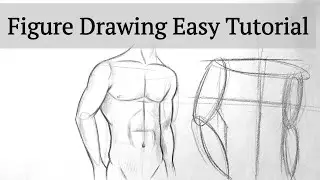 How to draw human figure drawing Male Torso for Beginners| drawing Fundamentals tutorial easy Basics