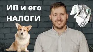 ИП в 2021 году, Как открыть ИП и что надо знать? Взносы за себя. ИП и самозанятость, Мой налог 2021