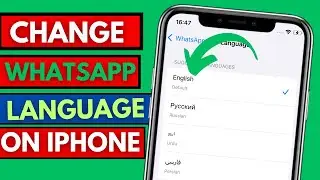 How To Change WhatsApp Language on iPhone || Change WhatsApp Language in iPhone  2024