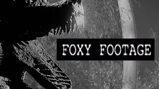 fnaf / FOXY FOOTAGE