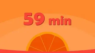 59 Minute Timer (Basic Orange)