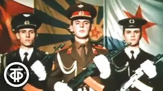 Вооруженные силы СССР. День полетов (1984)