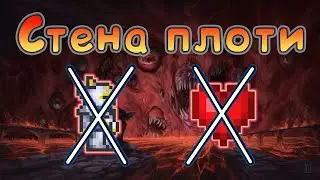 Как убить Стену плоти без получения урона и брони ? Terraria 1.4.3.6