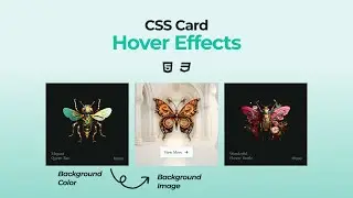 CSS Card Hover Effects | HTML & CSS