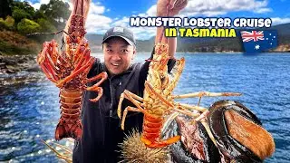 Catching & Cooking GIANT LOBSTER & OYSTERS on a Boat in Tasmania Australia